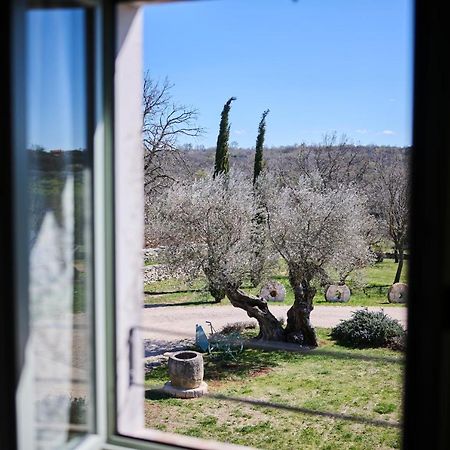 Winery Cuj Bed & Breakfast Vilanija Екстер'єр фото