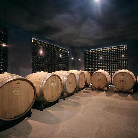 Winery Cuj Bed & Breakfast Vilanija Екстер'єр фото