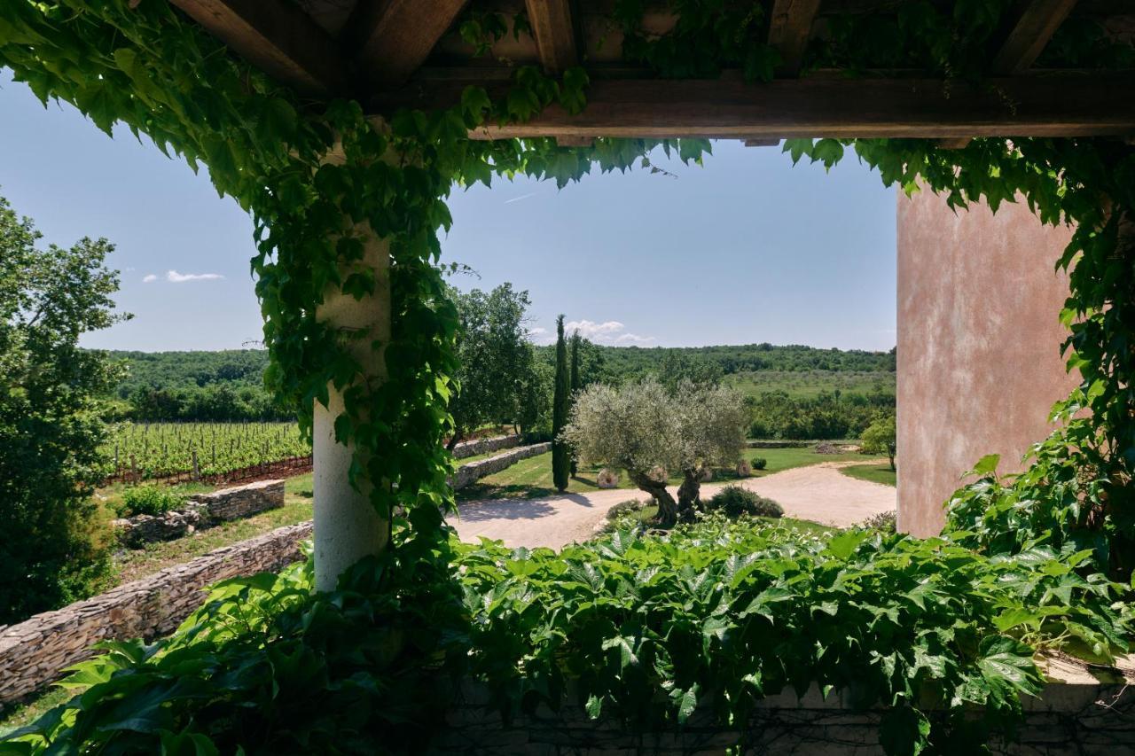 Winery Cuj Bed & Breakfast Vilanija Екстер'єр фото